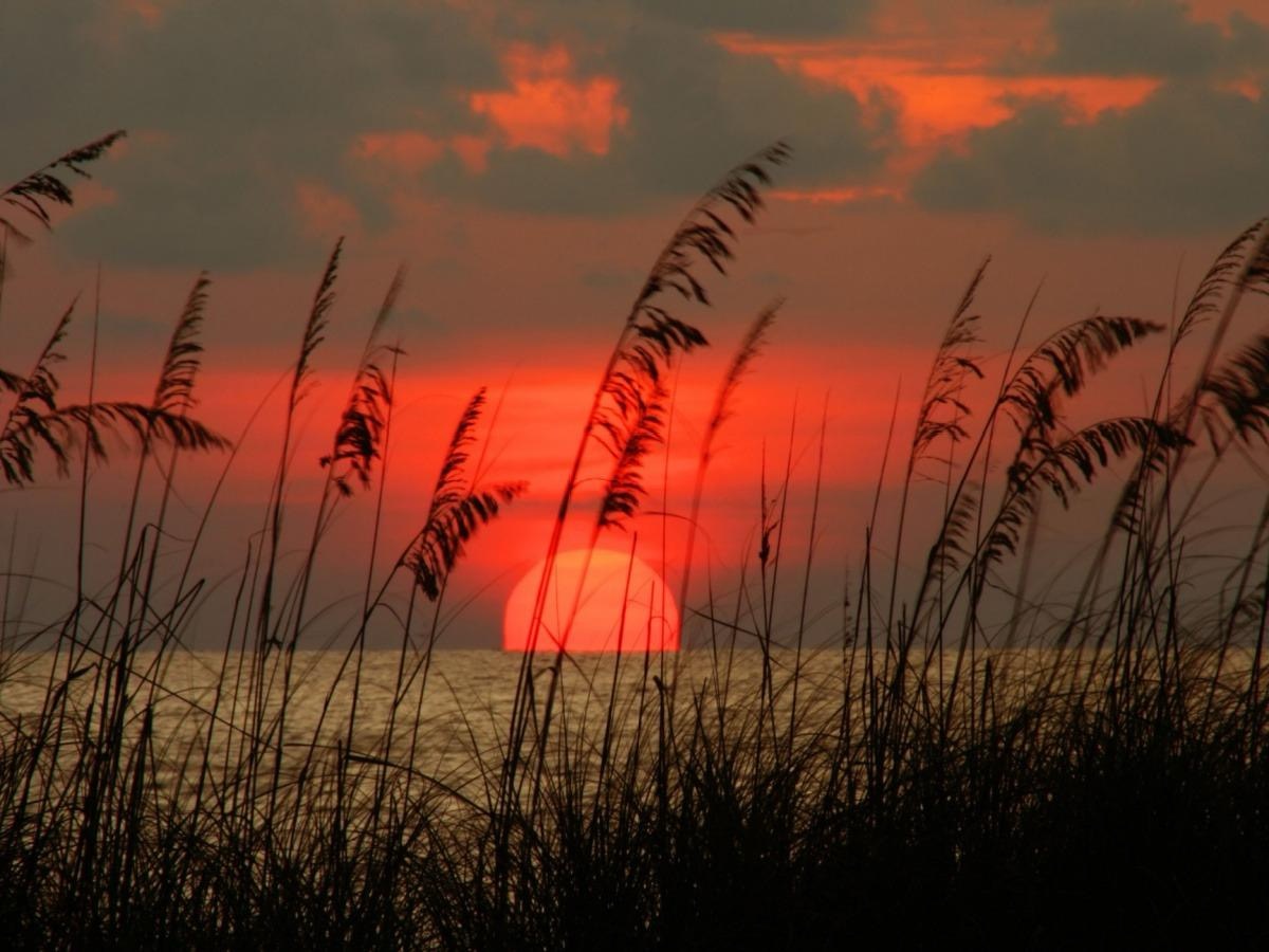 Sunset over the Gulf of Mexico, seen through sea oats along St. Pete Beach
