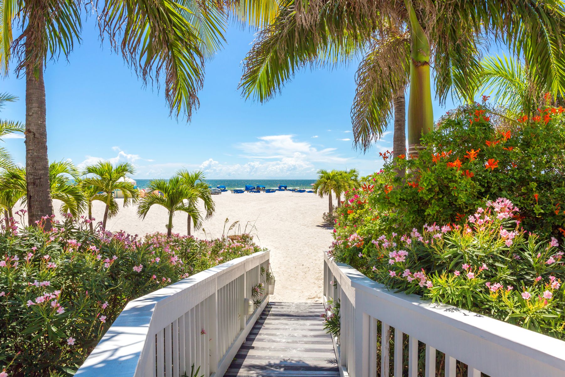 Boardwalk entrance to St. Pete Beach lined with palms, sea oats, and flowering tropical shrubs